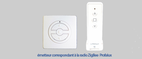 Emetteur Profalux Portable Radio Zigbee