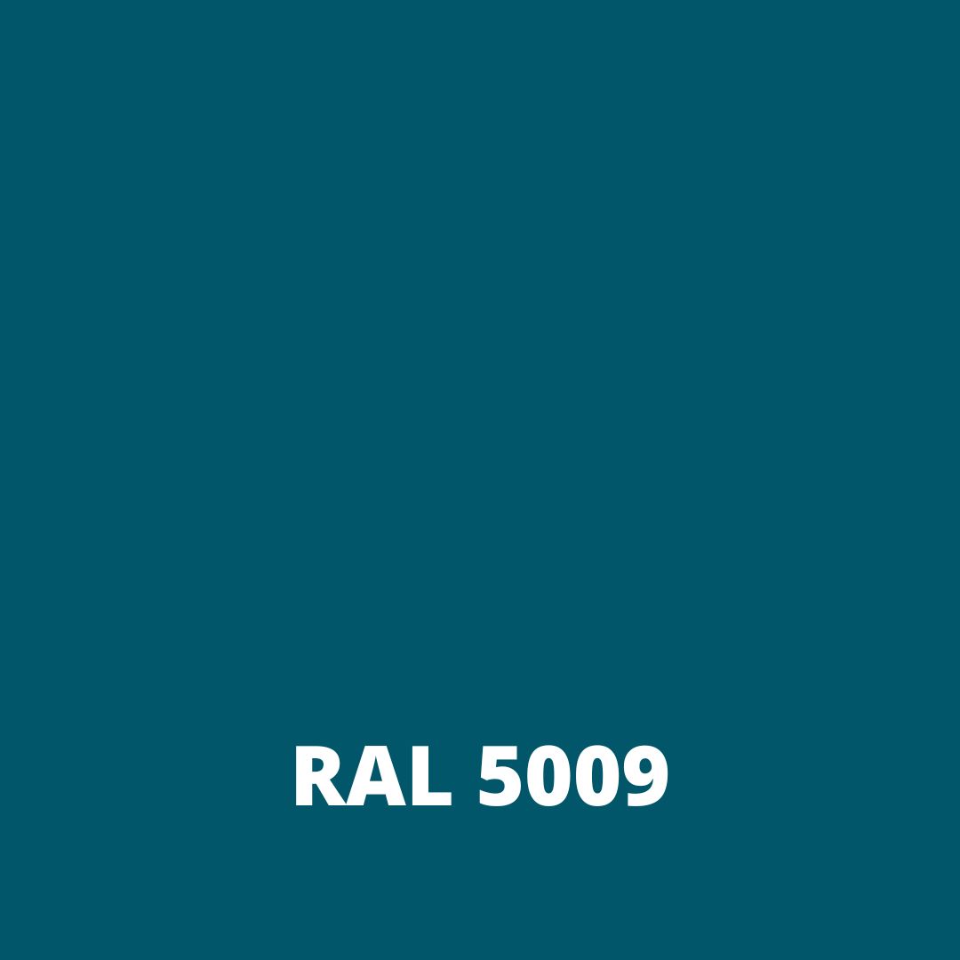 L3 ral 5009